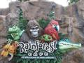 Orlando - Rainforest Cafe